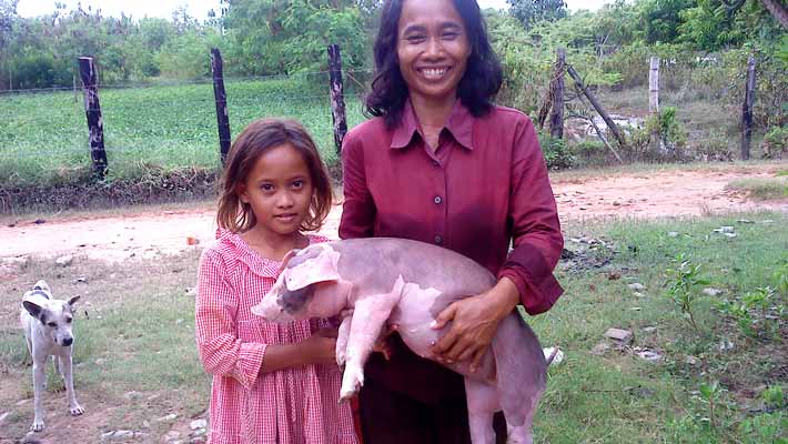 Cambogia: animali da cortile
