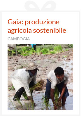 Cambogia: Gaia, produzione agricola sostenibile